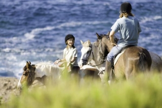  Equitación en Puglia 
